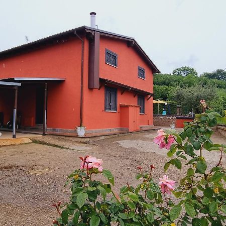 Country House Dolce Nocciola Vignanello Exterior foto