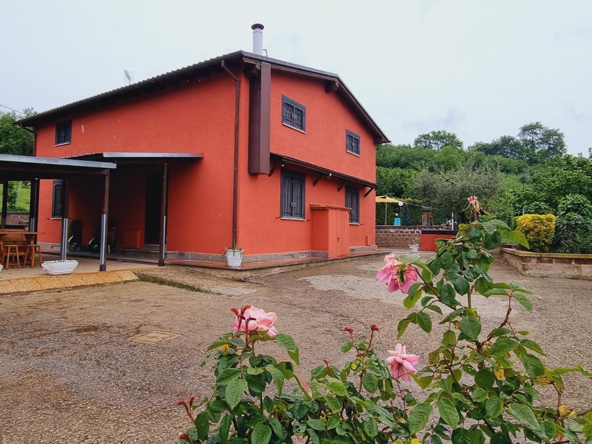Country House Dolce Nocciola Vignanello Exterior foto