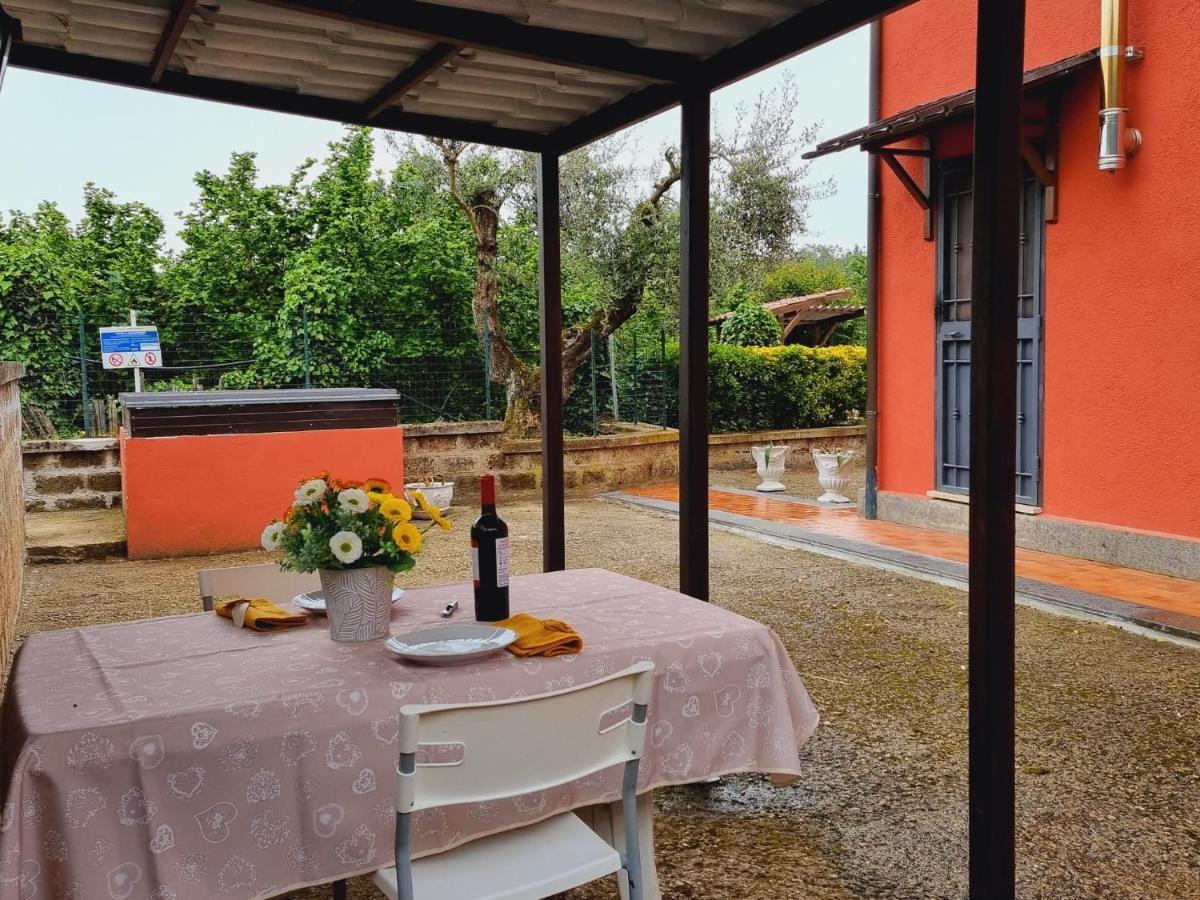 Country House Dolce Nocciola Vignanello Exterior foto