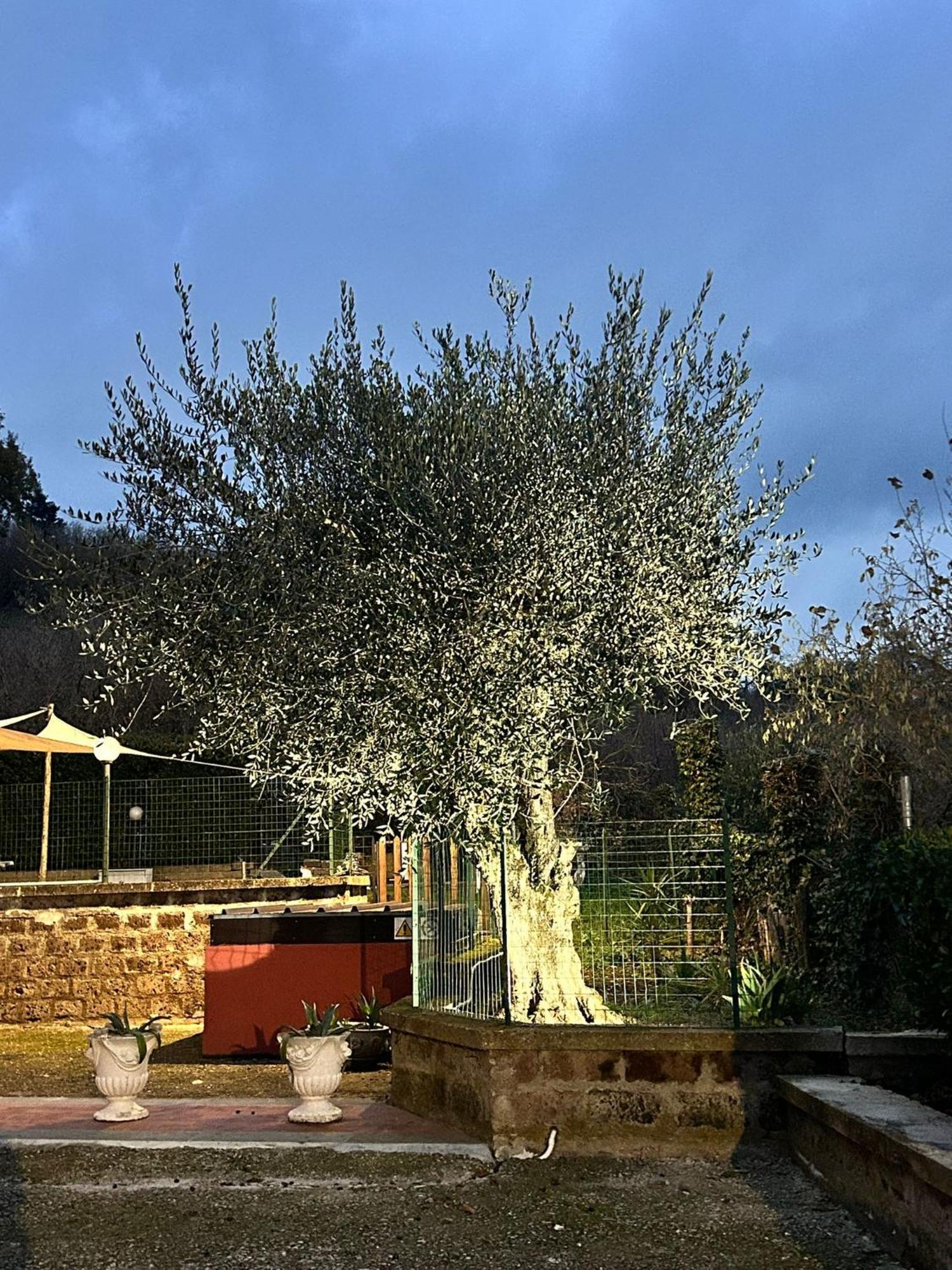 Country House Dolce Nocciola Vignanello Exterior foto
