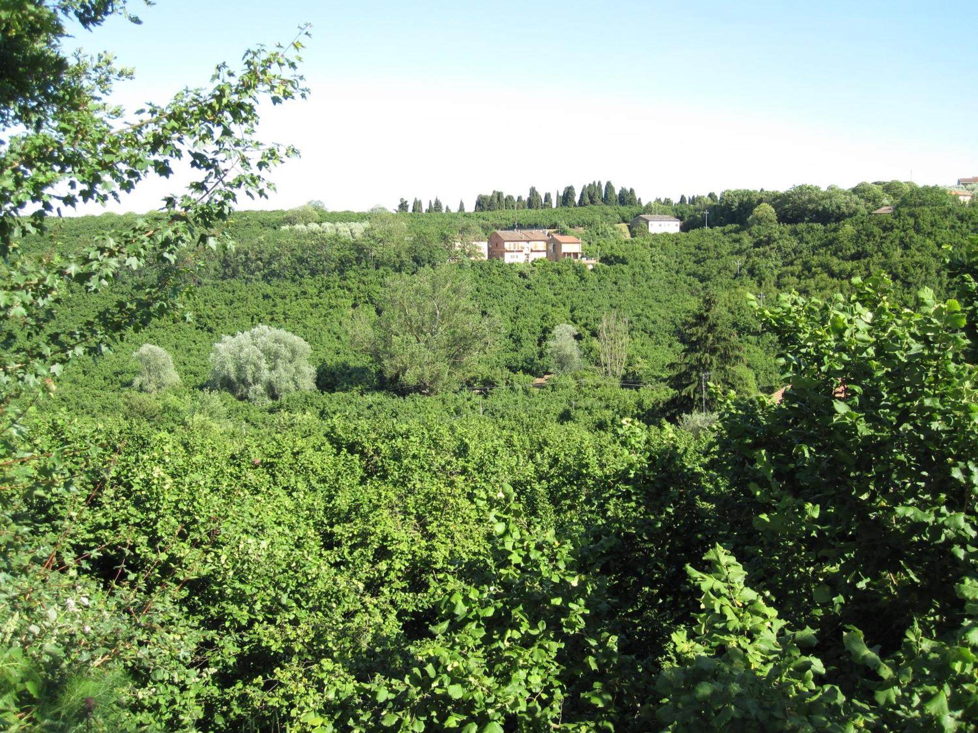 Country House Dolce Nocciola Vignanello Exterior foto